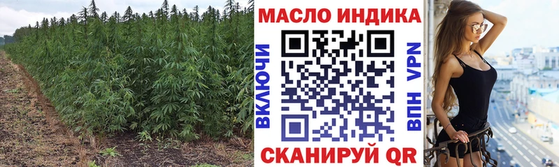 мориарти наркотические препараты  Хасавюрт  ТГК THC oil  купить наркотик 